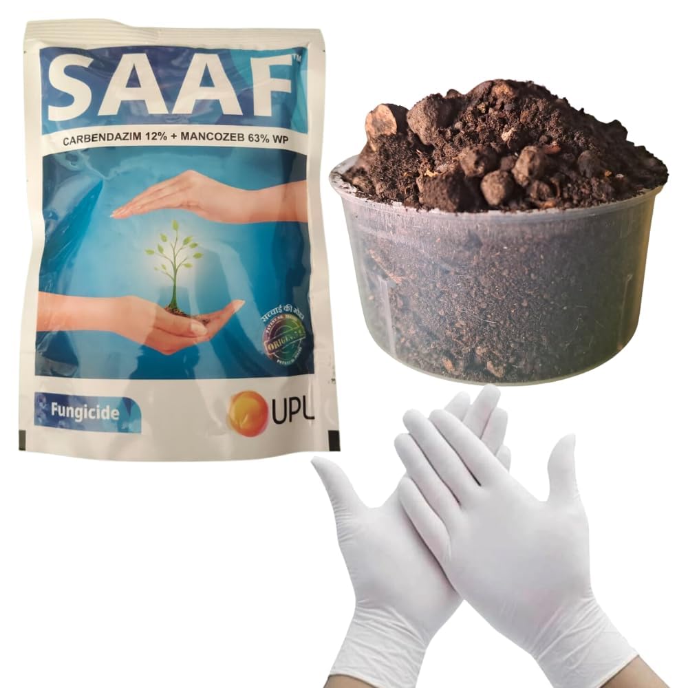 Saaf 500 gm Combo with Neem cake Powder 400gm with free gloves (pack of 2)