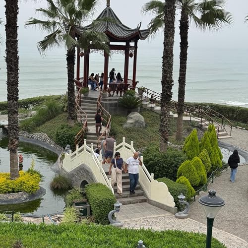 May Have Found My Place, Still Looking for my People