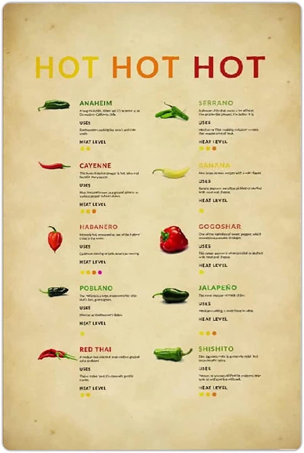 rayprint Chili Charts Retro Metal Tin Signs Chili Knowledge Posters Farmers Reference Guide Plaques Home Kitchen Farmhouse Wall Decor 12x16 Inches
