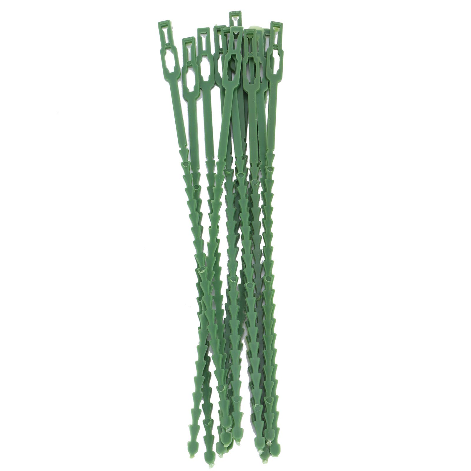 Set di attrezzi da giardinaggio, verde con clip di sostegno per piante, kit di fascette regolabili per la tutoratura di pomodori, cetrioli e piselli dolci, organizer
