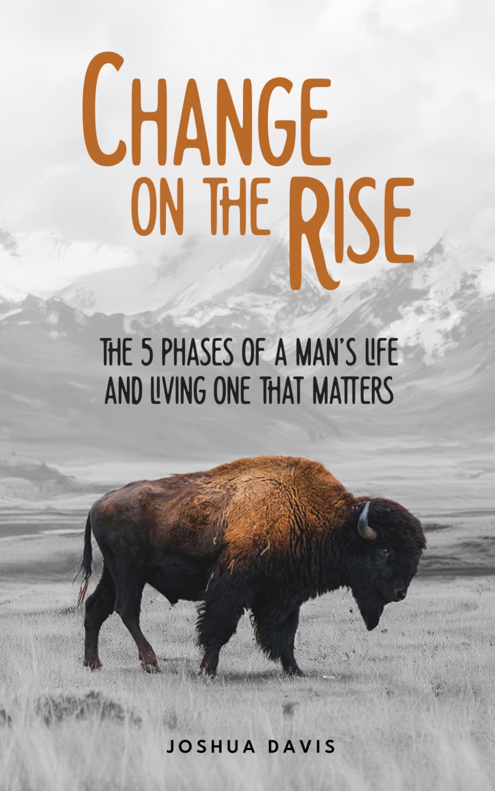 Change on the Rise: The 5 Phases of a Man's Life and Living One That Matters - A Guide to Biblical Manhood, Christian Leadership, Fatherhood, Marriage, and Leaving an Eternal Legacy
