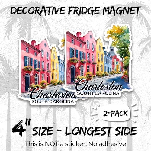 Imán decorativo pack 2 de 4 pulgadas para refrigerador miniatura 2