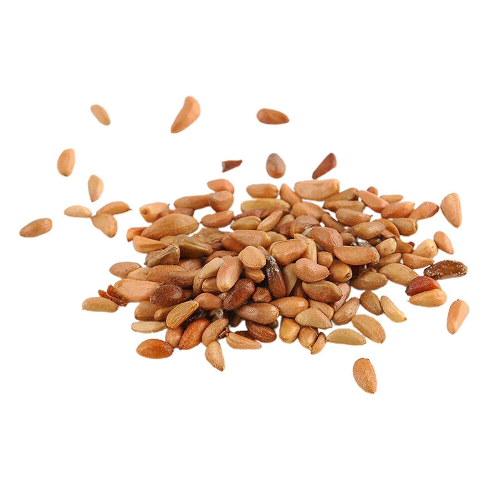 500Pcs/Bag Climbing Rose Seeds Perennial Easy to Yield Multi-Color Potted Flower Seeds Garden Decor Climbing Rose Seeds for