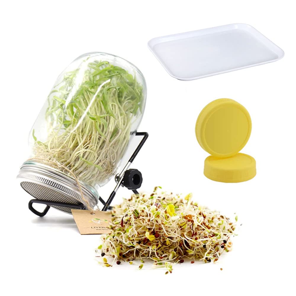 SUFUBAI Coperchi per germogliare barattoli di muratore, coperchio per colino per germogliare germogli di fagiolo, erba medica, germogli di fagioli mung, 4 pezzi/6 coperchi a bocca larga