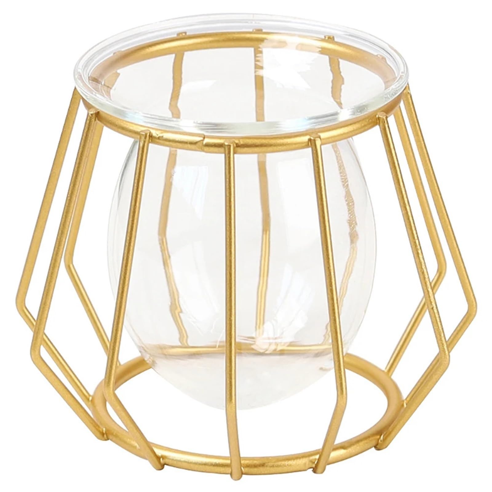 Geometric Vases Plant Holder Terrarium Geometric Iron Line Vase Home Decor Modern Hydroponic Flower Metal Golden Glass