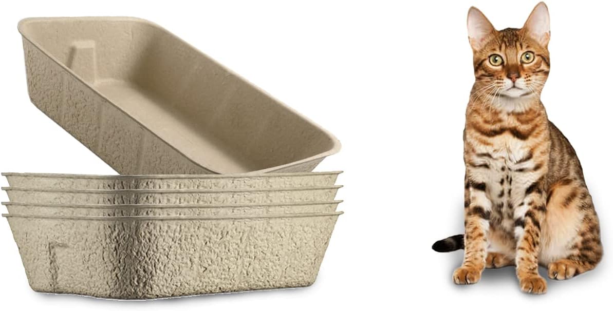 5 Pack Disposable Litter Boxes for Cats Cat Litter Boxes