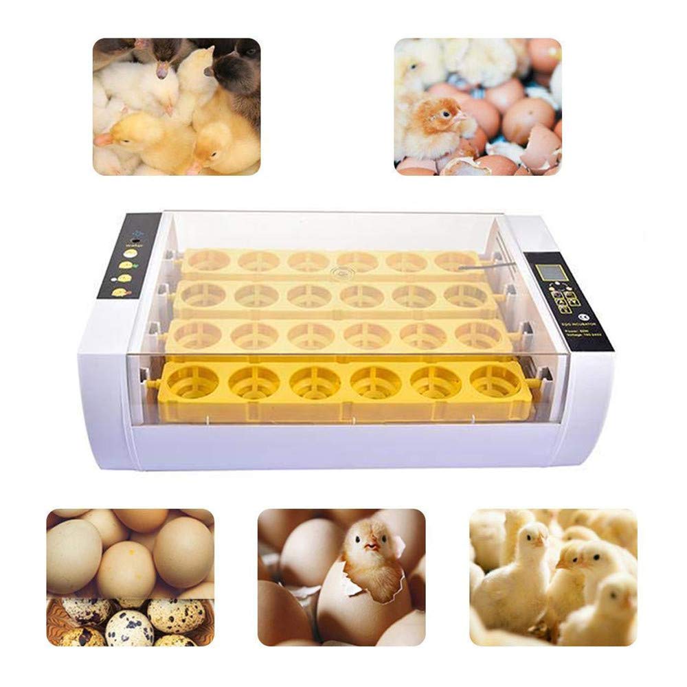 Buy Egg Incubator 24 Eggs Digital Incubator For Hatching Eggs Automatic