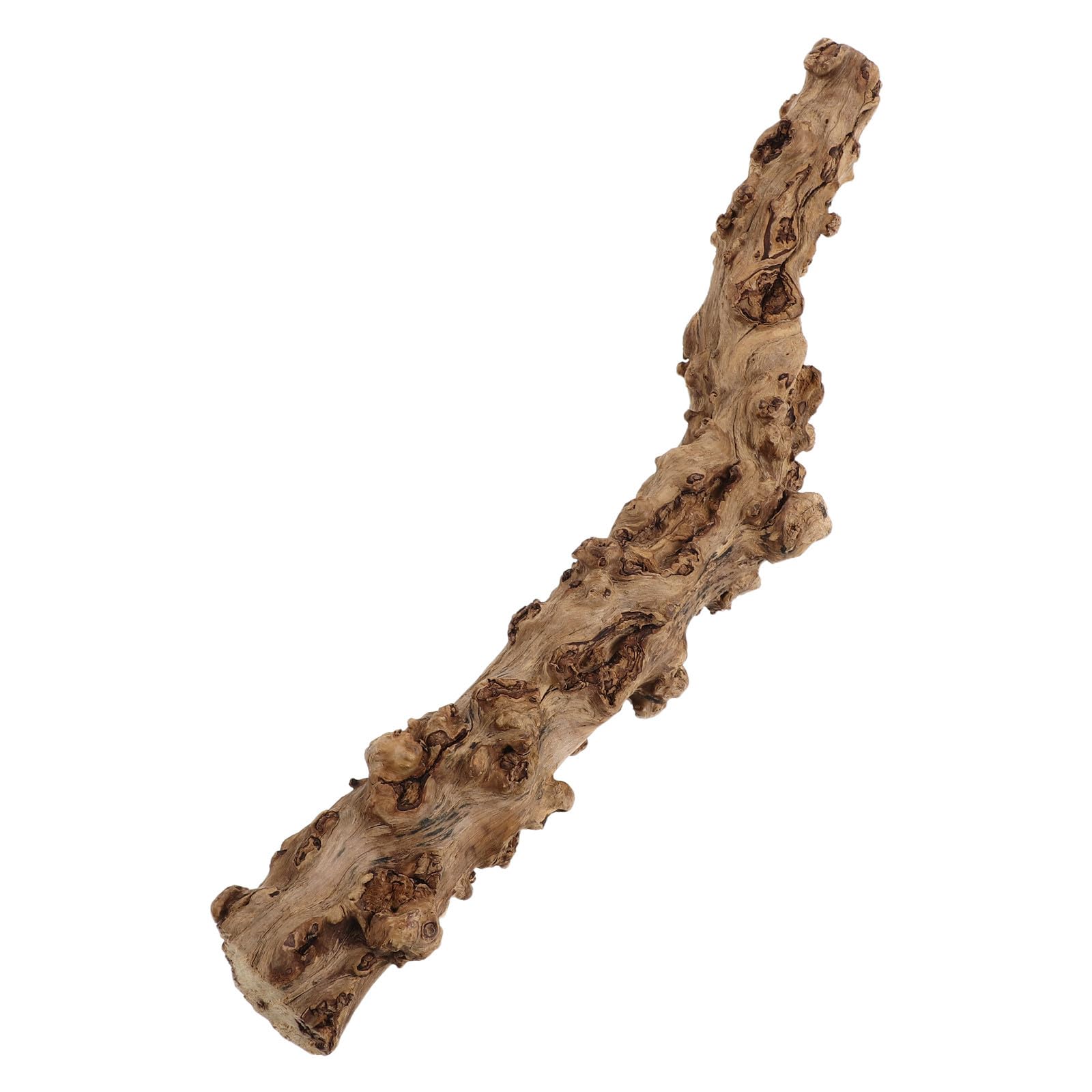 Ramo Per Arrampicarsi Rettile in Sughero Naturale Accessori Per Terrari Di Lucertole E Serpenti Tronco Legno 13.78 Pollici Supporto Sicuro Per Habitat Di Draghi Barbuto E Anfibi
