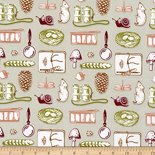 Windham Fabrics Summer School Field Day Birch, Quilting Fabric by the Yard