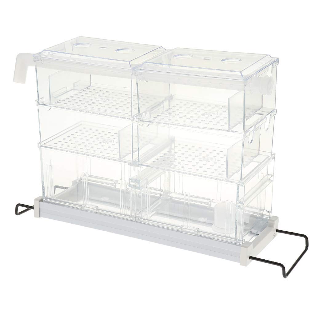 Transparent Aquarium Filter Box Filterkasten Fish Tank Filterausstattung