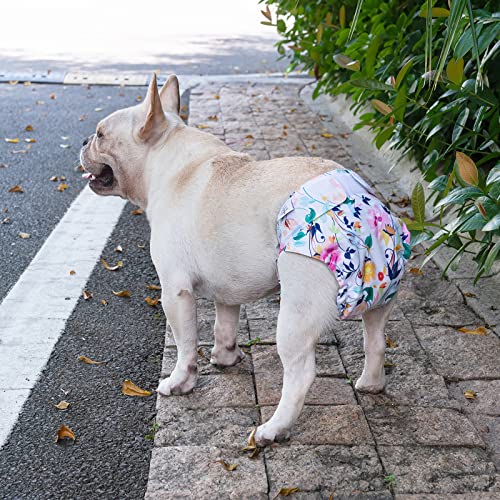 Image of CuteBone Washable Dog Diapers Female No Tail Hole 3 Pack Reusable Doggie Period Training Pants for Docked-Tail Frenchie French Bulldog Boston Terrier Without Tail WWD02L