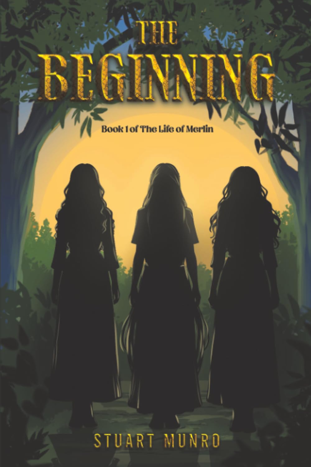 The Beginning by Stuart Munro PAPERBACK 9781037119903