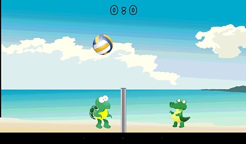 VolleyBall Game