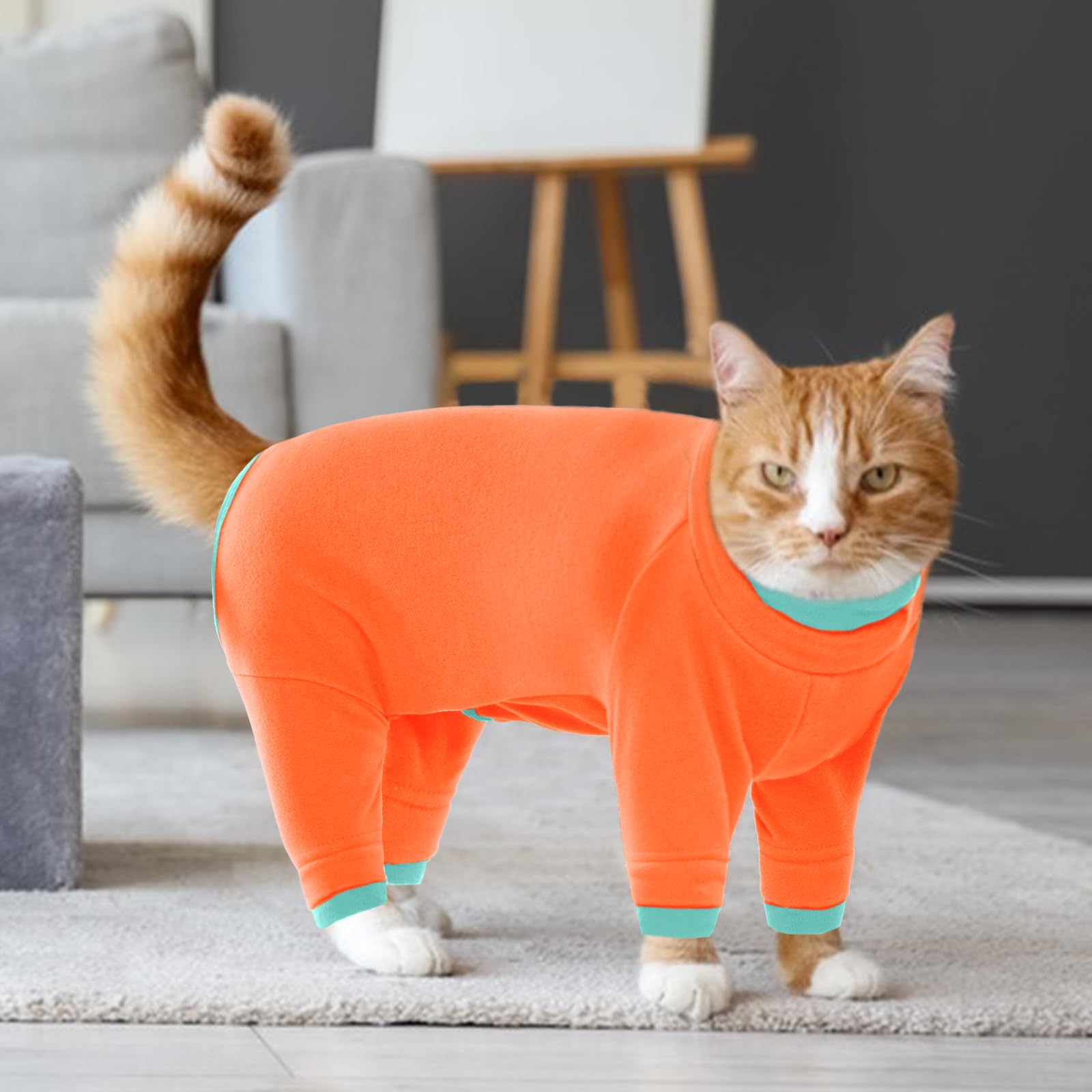 Cat Clothes, Body Suit to Stop Licking Thermal Cat Coats and Body Warmers Soft Touch Thick Surgery Recovery Suit Prevent Scratching(Orange, M) — view 7