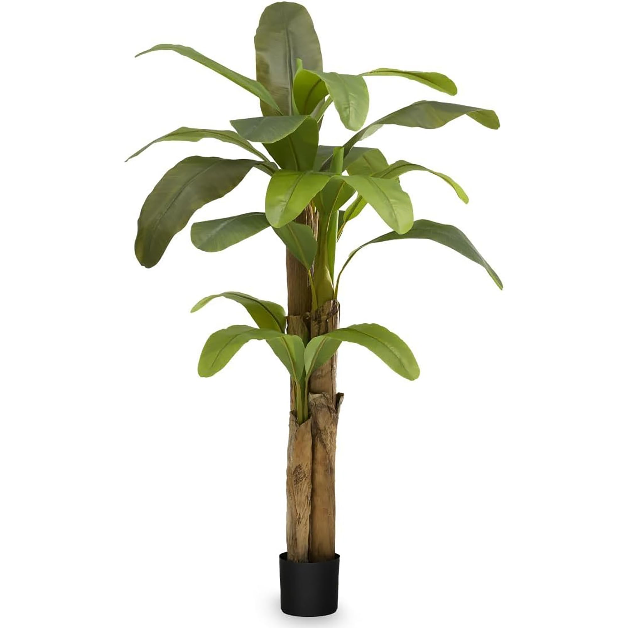 Maia Shop Artificial Banana Tree, 180 cm for Home and Office Decoration. Hyper-realistic Decorative Artificial Plant with Natural Trunk