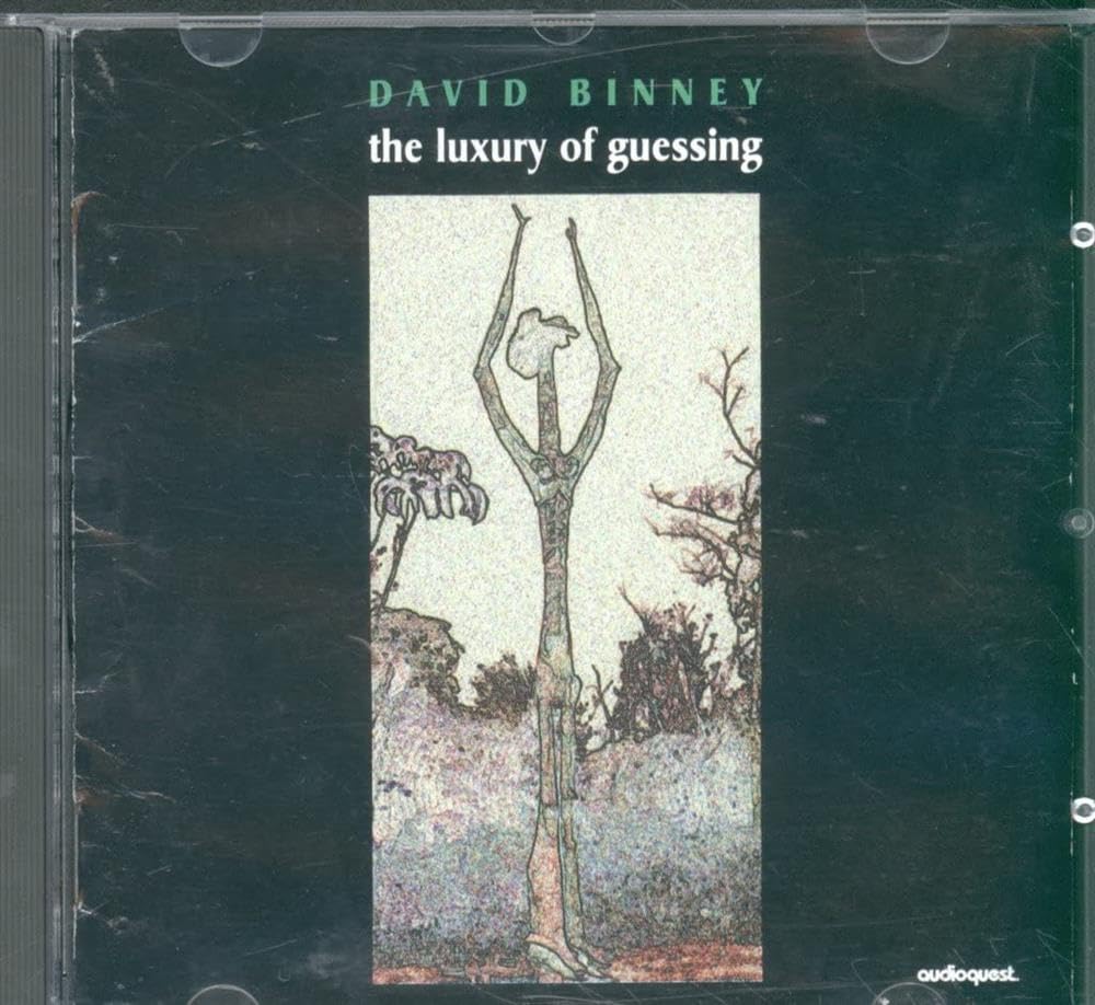 Luxury of Guessing [Audio CD] Binney, David