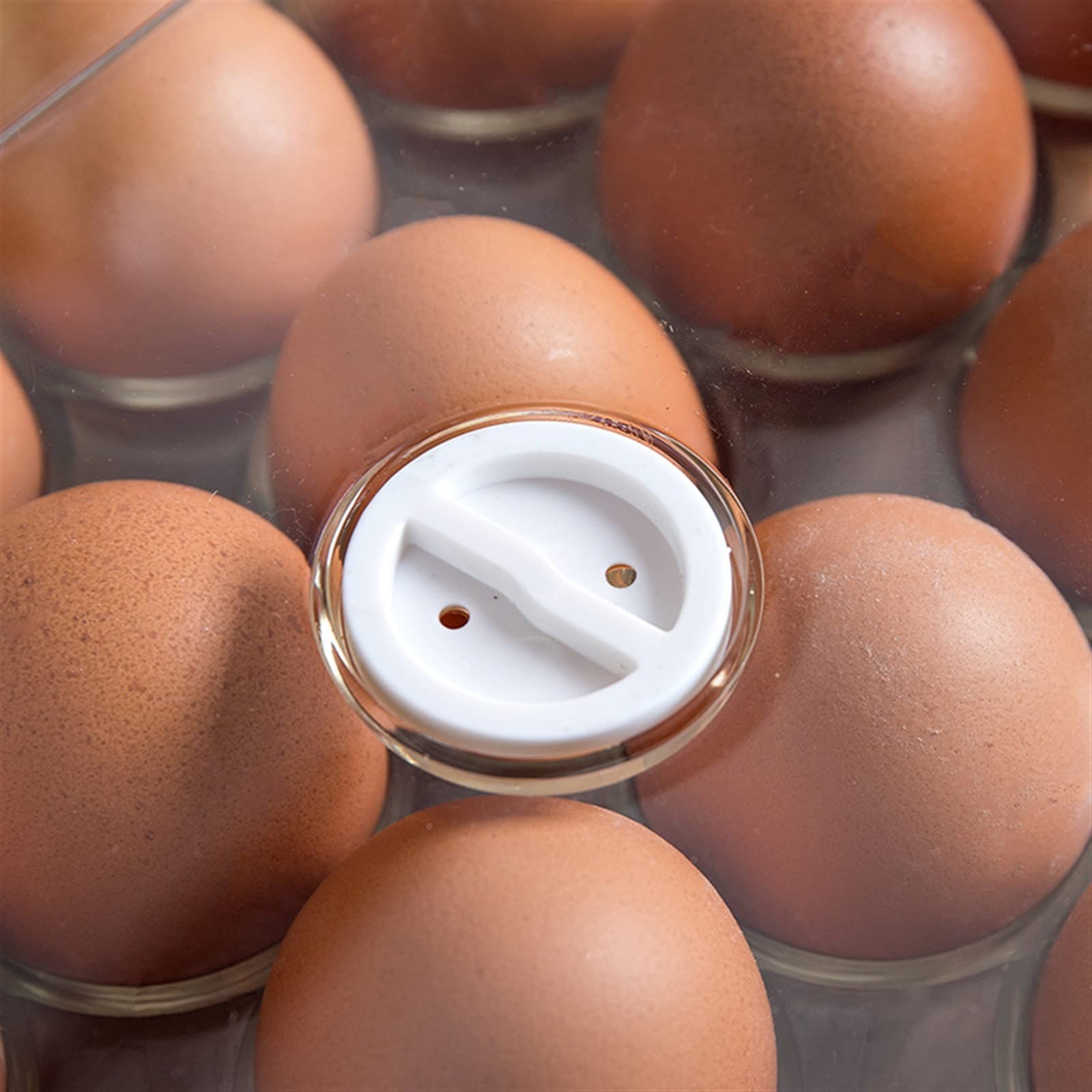 Cesta de Huevos, portahuevos con Cubierta Transparente para refrigerador, 24 portahuevos, Caja de Almacenamiento, dispensador, contenedores de Huevos de plástico apilables