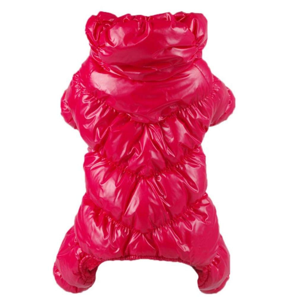 Combinaison pour chien salopette rouge XS idéale pour balades d'hiver