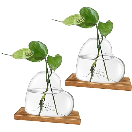 Heart Shape Desktop Plant Propagation Vase