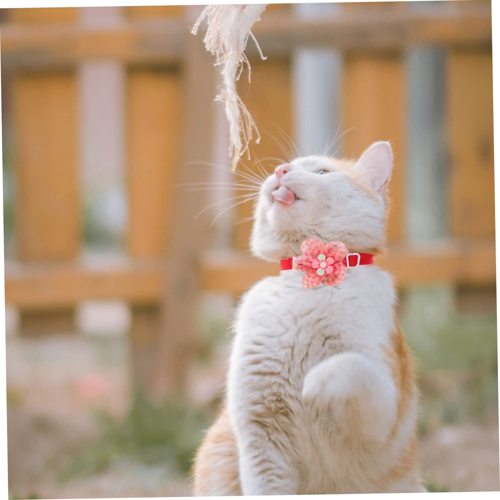 Happyyami 30pièces Collier pour Petits Chiens Et Chats avec Fleurs Confortable Et Décoratif De Accessoire Mignon pour Fêtes Et Occasions Spéciales