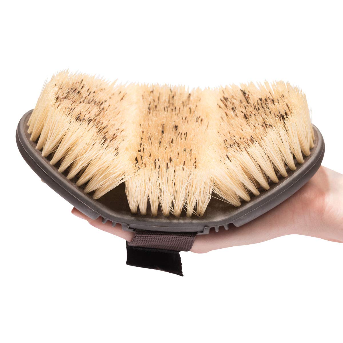 Animalon CareFlex Wurzelbürste – Naturhaar-Pferde-Bürste – Wurzelkardätsche mit harten Naturborsten – flexibel, ergonomisch & hochwertig – Kardätsche mit Klettverschluss