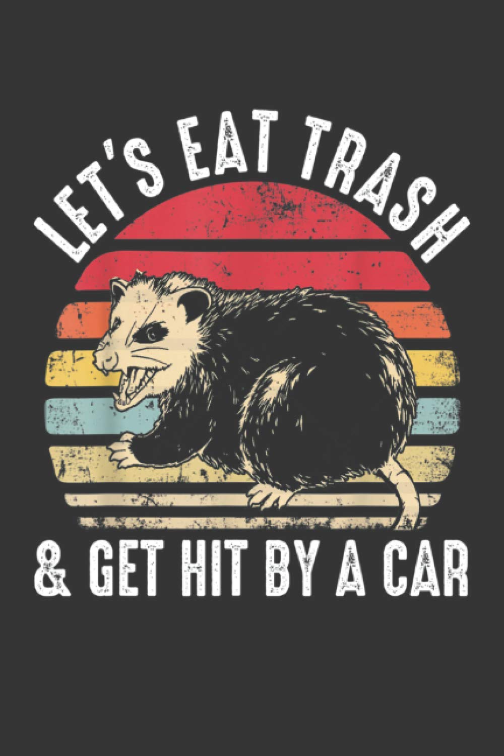 Racoon Notebook: Lets Eat Trash and Get Hit By a Car Funny Notebook (6 x 9) - 100 Pages