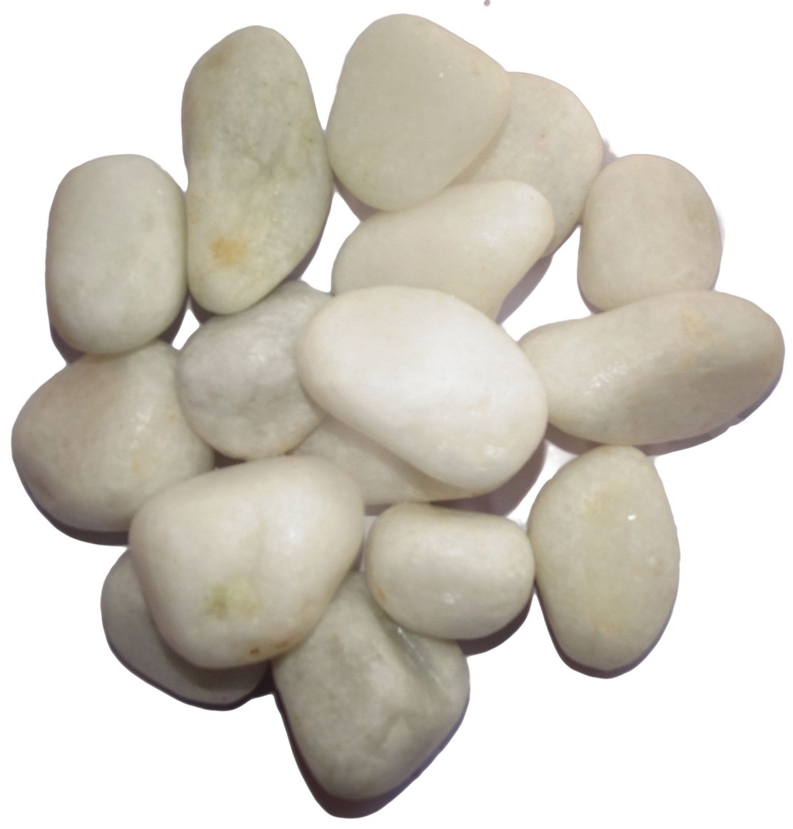 See full amazon price history chart for Maalavya 5kg Unpolished Natural White Tumble Aquarium Water Stone Pebbles Gravel Chips Maalavya 5kg Unpolished Natural White Tumble Aquarium Water Stone Pebbles Gravel Chips (B07649DJ9R) Amazon Price History, Amazon Price Tracker