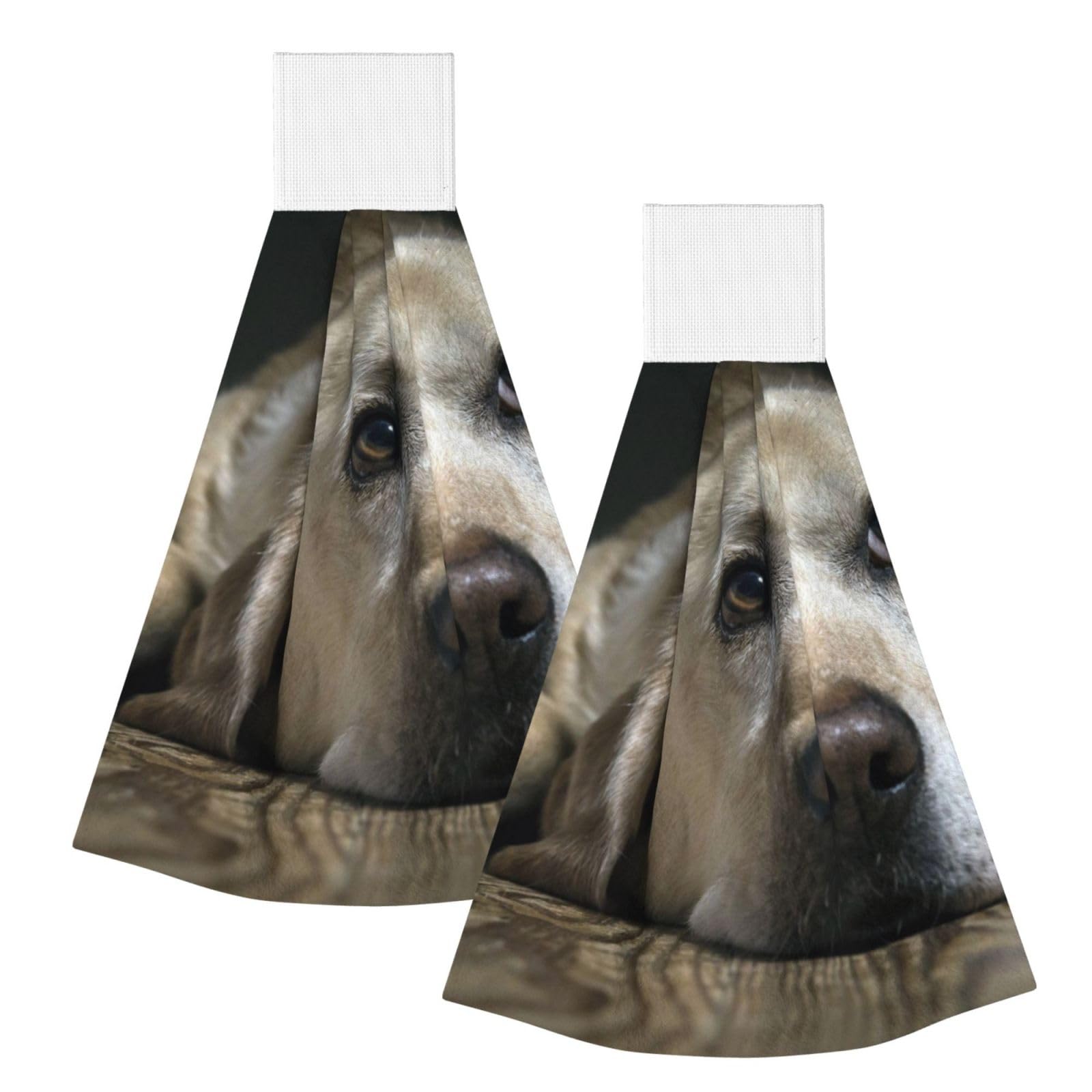 DOPKLNA Lovely Labrador Dog, 2 Pcs Hanging Coral Fiber Hand Towels for Bathroom, Absorbent Kitchen Towels