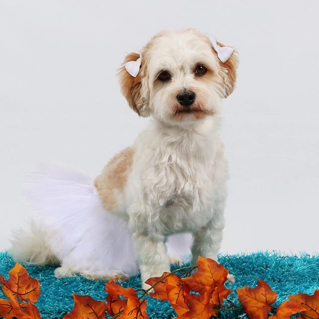 Foto 6 de 7 de HACRAHO Falda tutú para perro, 1 paquete de tutú de boda para perro con 1 pieza de lazo para el pelo de perro…