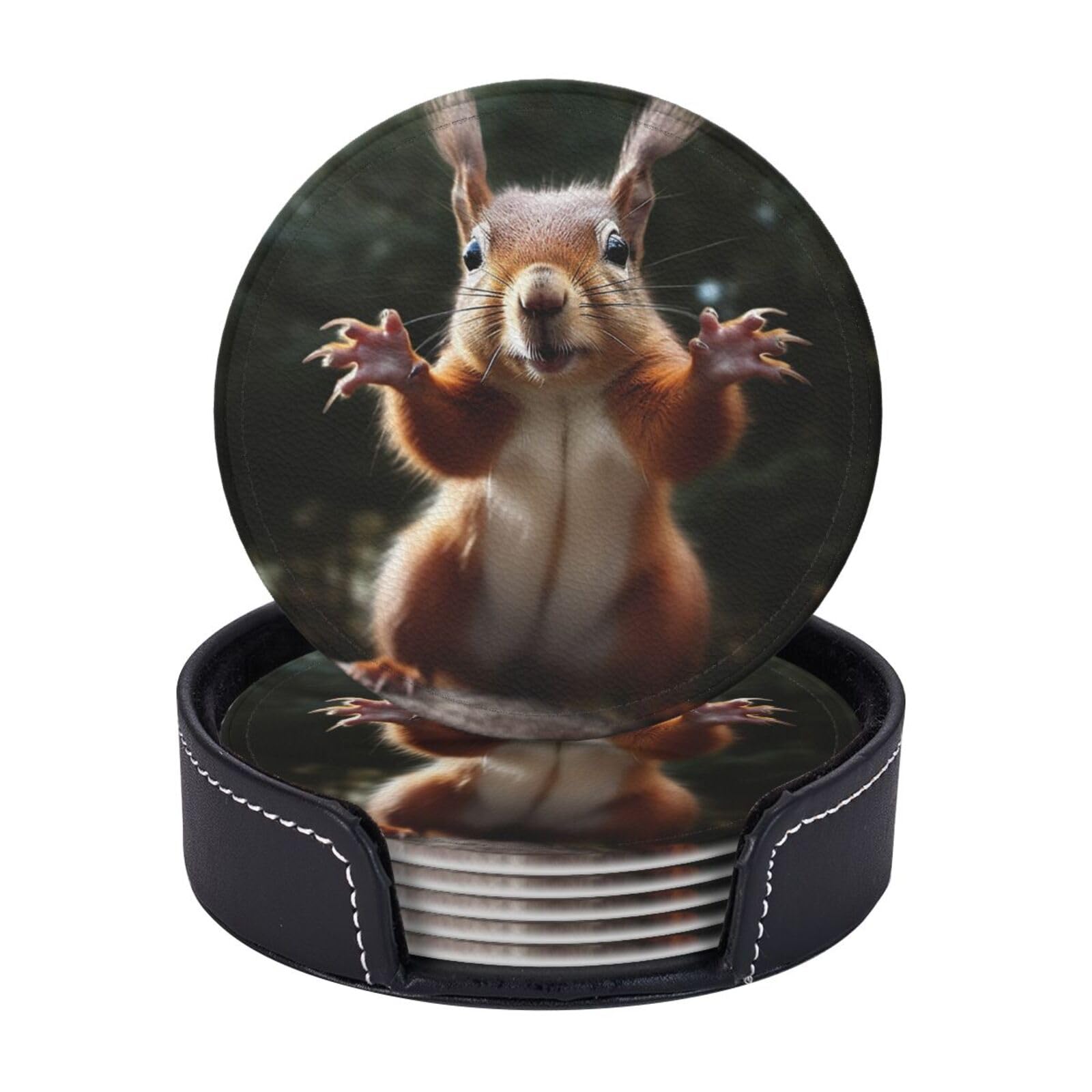 Round Coasters for Drinks Set of 6 - PU Leather Coasters with Holder - Modern Drink Coasters for Coffee Table - Squirrel Funny Animal Coaster for Tabletop Protection 4" Cup Mat Pad