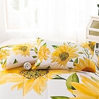 Vista 220 de CVHOUSE Juego de ropa de cama con diseño de panda, juego de edredón individual con panda y 2 fundas de almohada, lindo juego de colcha kawaii