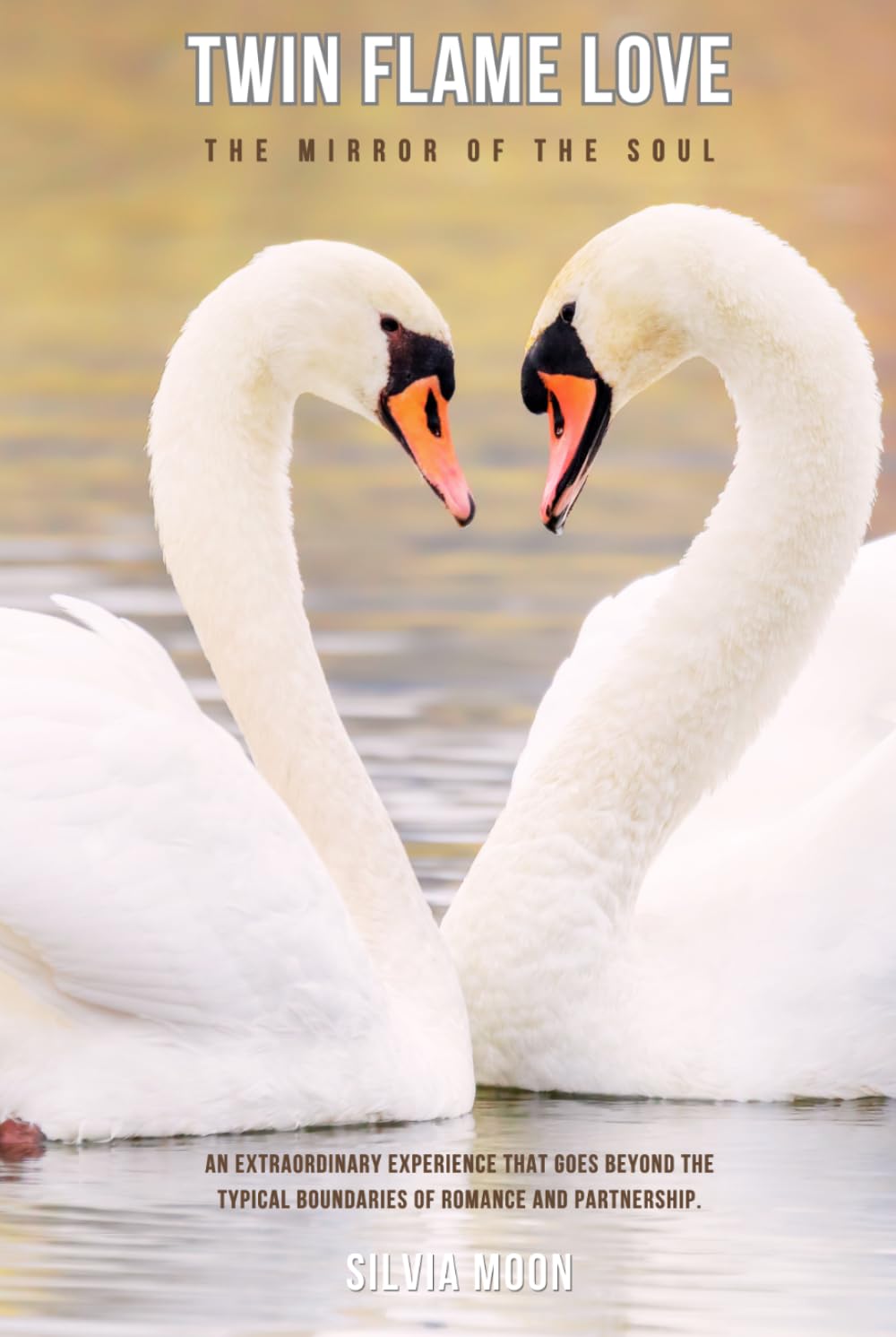 Twin Flame Love: The Mirror of the Soul (Twin Flame Mirror Souls)