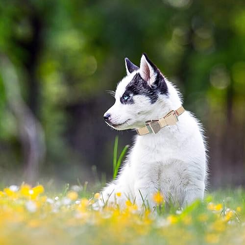 Miniatura 6 de EXPAWLORER Juego de collar y correa para perro diseño clásico a cuadros para perro y bandana con campana correa para perro sin enredos collares