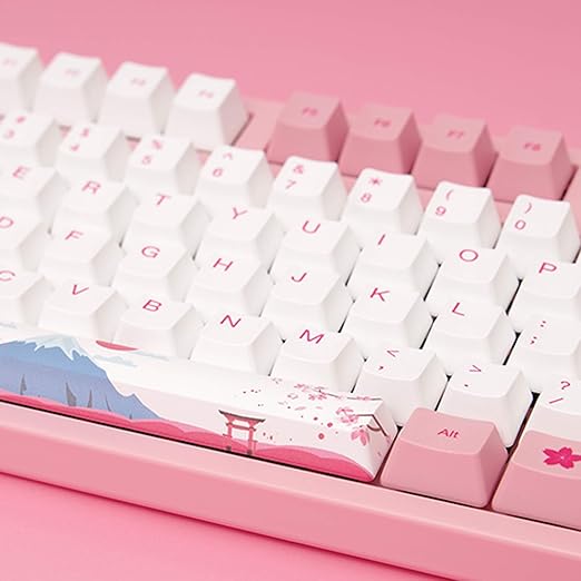 新品未開封] AKKO シナモロール キーボード | www.psychologiesport.fr