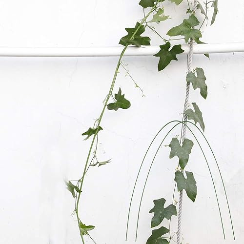 Miniatura 4 de RTWAY Paquete de 6 estacas de jardín de metal, acero flexible sin óxido de 4 pies con aros de soporte recubiertos de plástico, palos para plantas