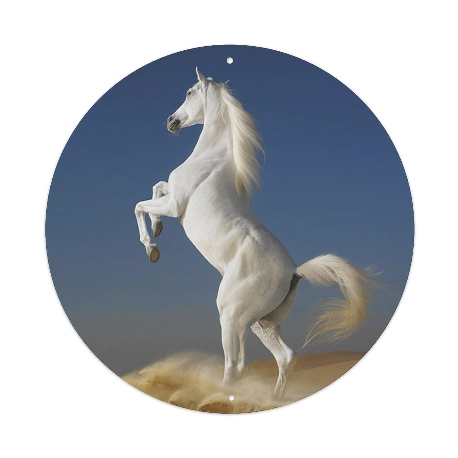 Horse Hd Photos Vintage Metal Tin Sign Plaque Wall Decor for Cafe, Club, Garden Round Metal Poster 8x8Inch