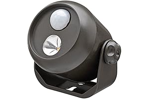 Mr. Beams MB310 Outdoor Motion Sensor Light - 80 Lumens