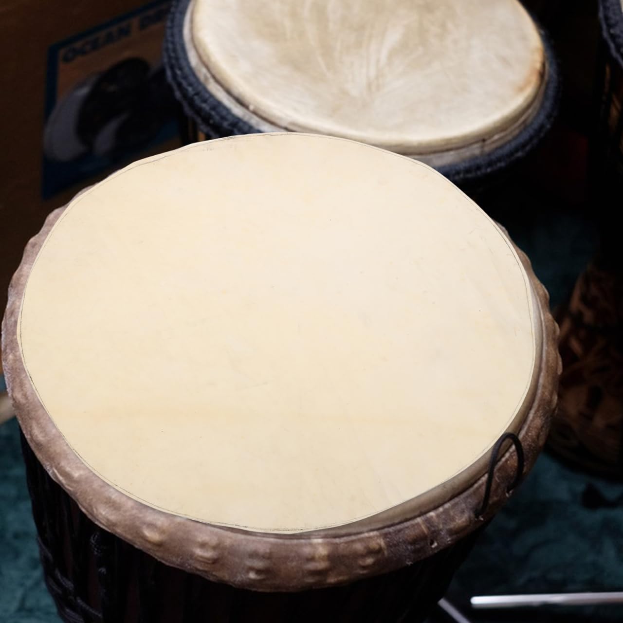 Sosoport Peau De Tambour De Chèvre 17.72 Pouces Tête De Remplacement Pour Tambours Africains Djembé Et Percussions À Main Son Authentique Durable