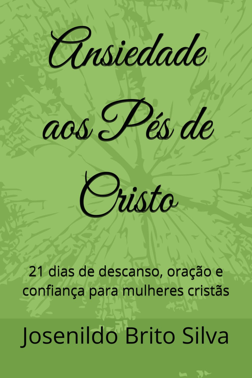 Ansiedade aos Pés de Cristo: 21 dias de descanso, oração e confiança para mulheres cristãs