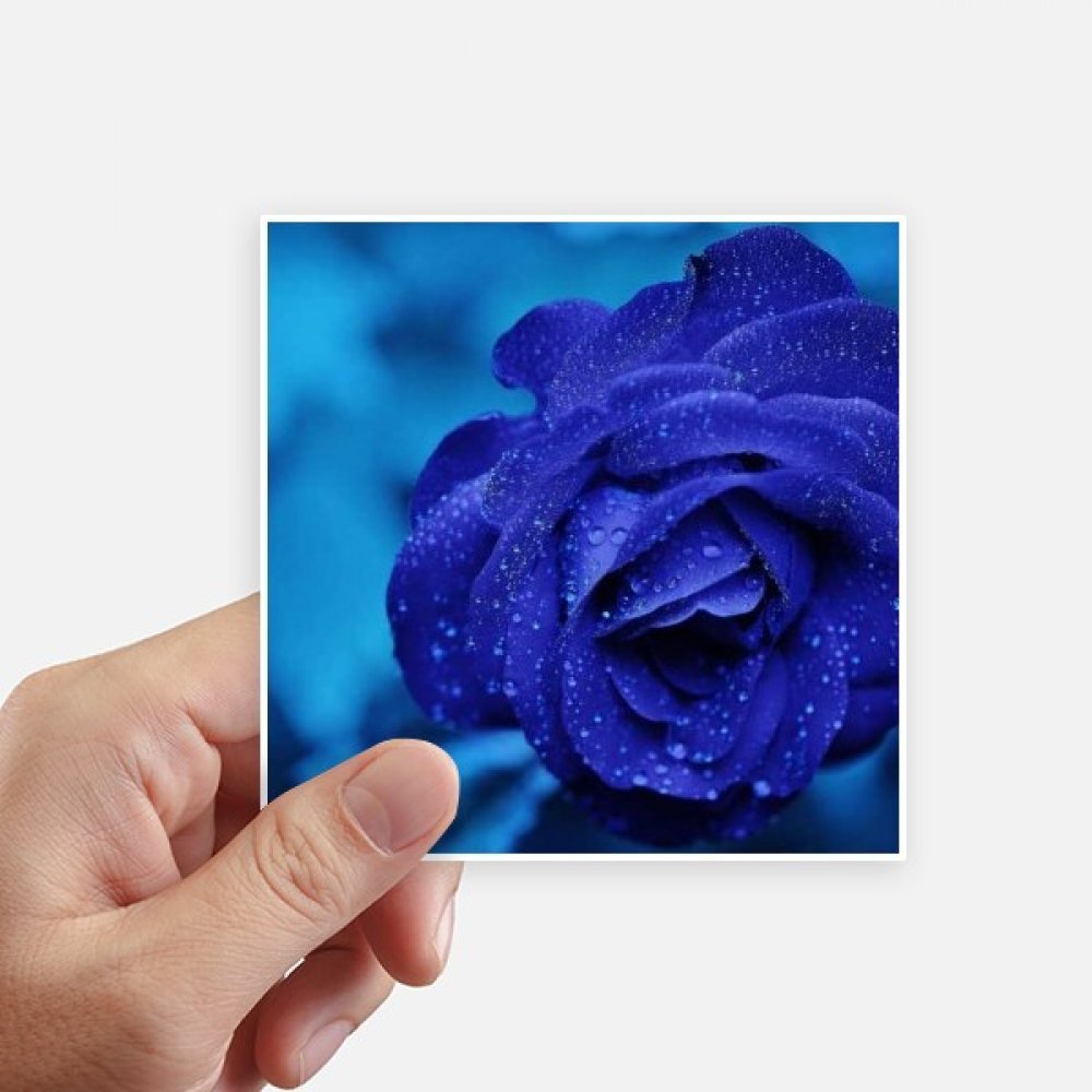 Sticker fleurs roses bleues 10cm adhésif durable pour décorer votre moto et mur, 8 pièces