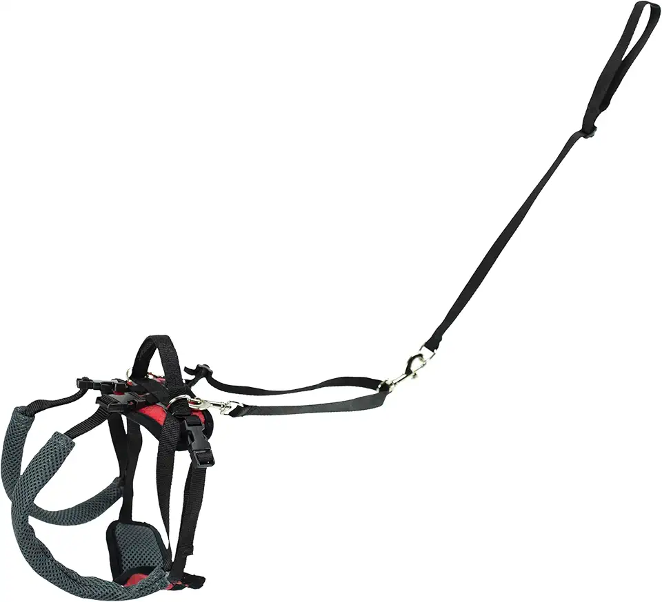 PetSafe Peitoral De Suporte Traseiro Carelift – Auxílio De Elevação Com Alça – Ótimo Para Animais De Estimação E Cães Mais Velhos – Material Confortável Respirável – Fácil De Ajustar – Pequeno