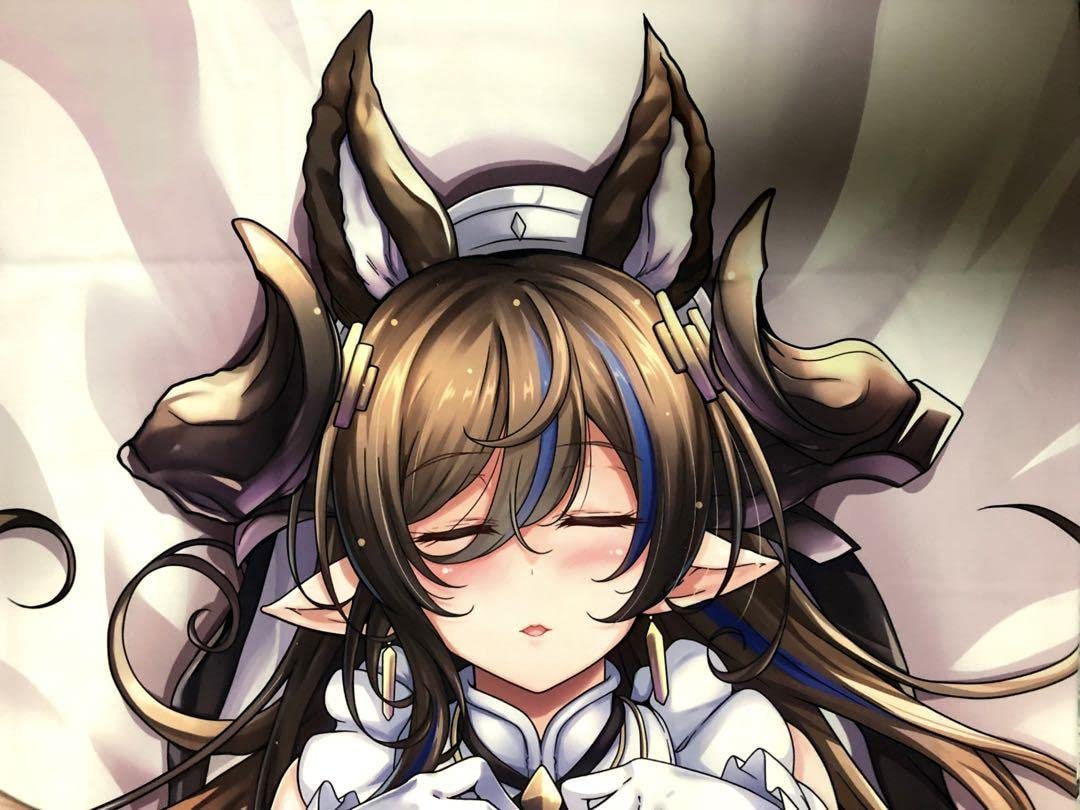 Amazon | グランブルーファンタジー ガレヲン 抱き枕カバー | アイドル 