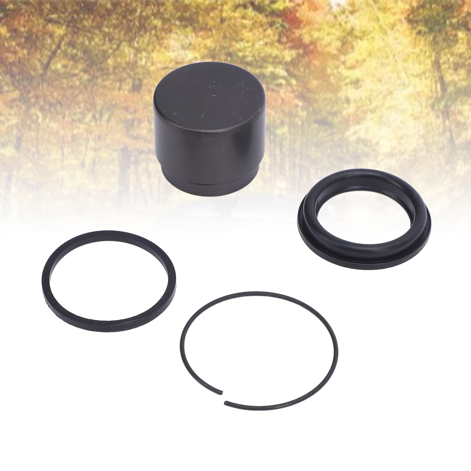 Kit Ricostruzione Pinza Freno Posteriore 46778 per Moto