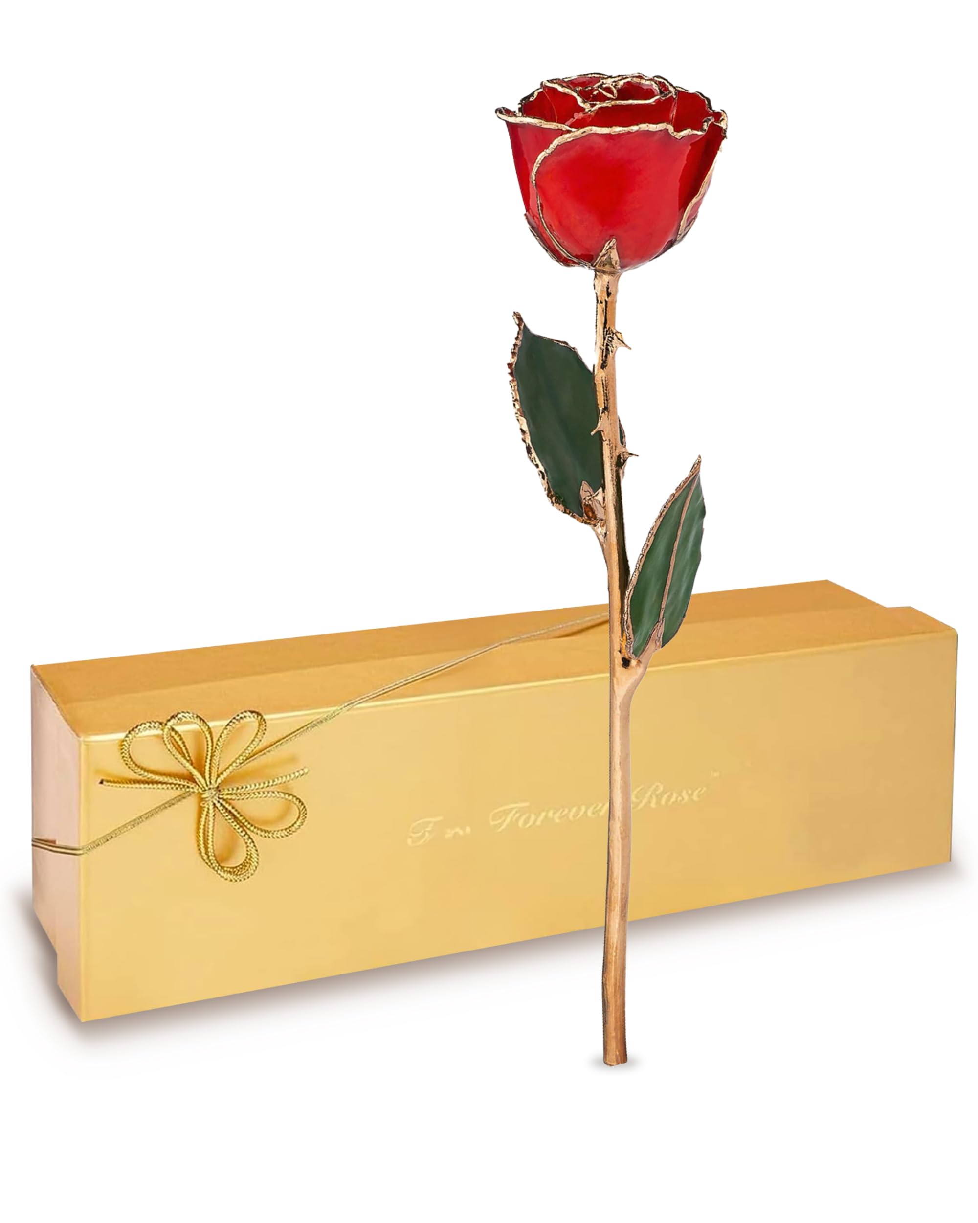 Real Red Rose Dipped in 24K Gold with Gold-Trimmed Petals and Stem, Handcrafted Preserved Rose in Luxury Gift Box, Romantic Gift for Her