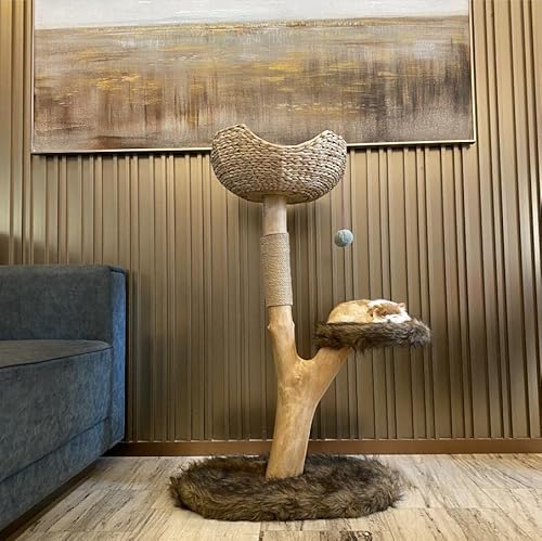 pLbgc[ _Lbg^[ CސLbgRh~jA ^LqL̋xeoɍœK LD̕ւ̃Mtg zCg (uE)