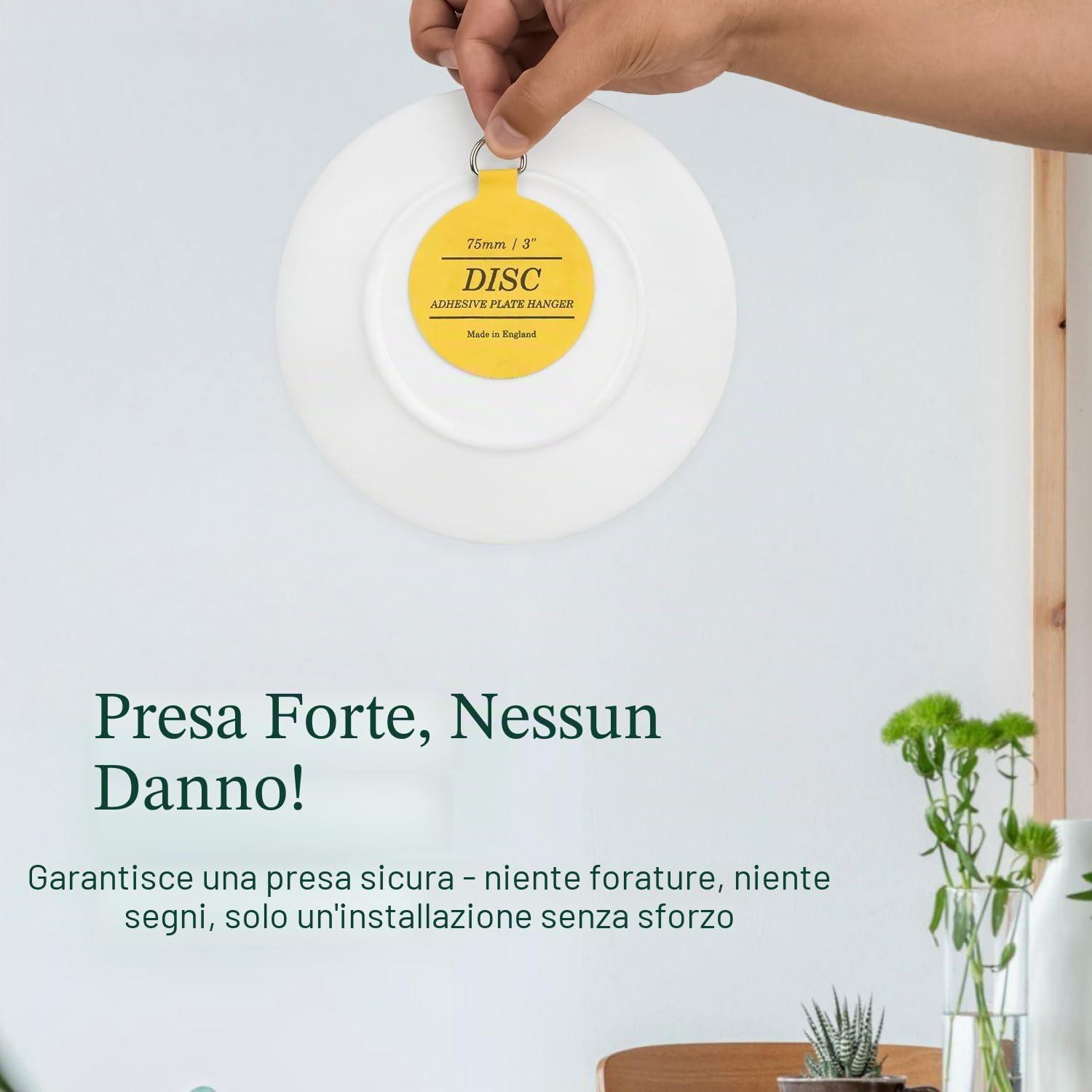 WINSOME Porta badge per dischi da parete - Forte supporto piatto invisibile Adesivo su ganci Immagini Supporto piatto da appendere da parete - Piatti da appendere Piatti... (75 mm / 3 pollici