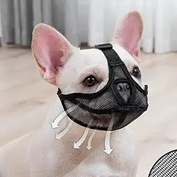 Focinheira Ventilada para Cães Braquicefálicos, Ajustável com Malha de Nylon, Ideal para Bulldog, Pug, ShihTzu, Pequinês, Maltês e Terrier (Preto, M)