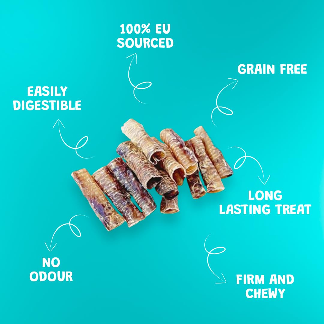 PAWLICIOUS 12-15 Pieces Pet Supplies 500gm Beef Air Pipe Trachea for Dog 15cm 100% Natural Healthy Air Dried Dog Treat Chews - Image 3