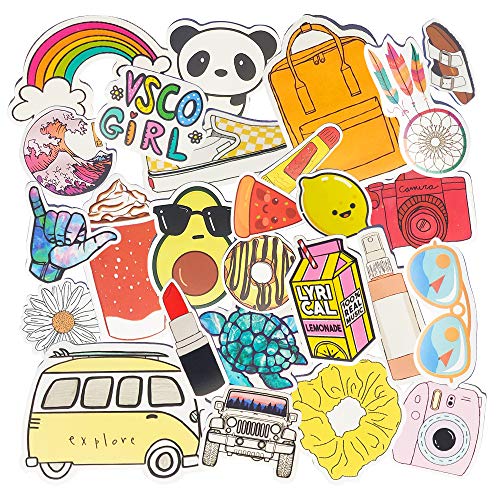 Vsco Stickers for Hydro Flask 50 Pcs Water Bottle Stickers Aesthetic Vinyl Waterproof