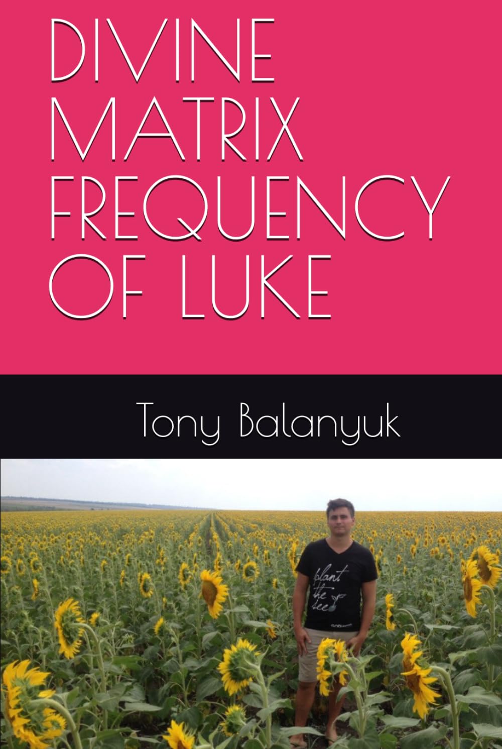 DIVINE MATRIX FREQUENCY OF LUKE (Divine Matrix – Glitch Frequency of Tony)